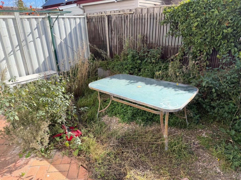 Backyard handyman work