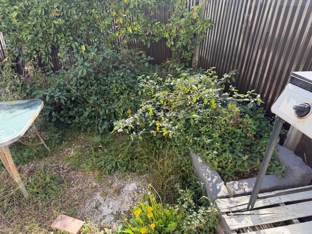 Backyard handyman work5