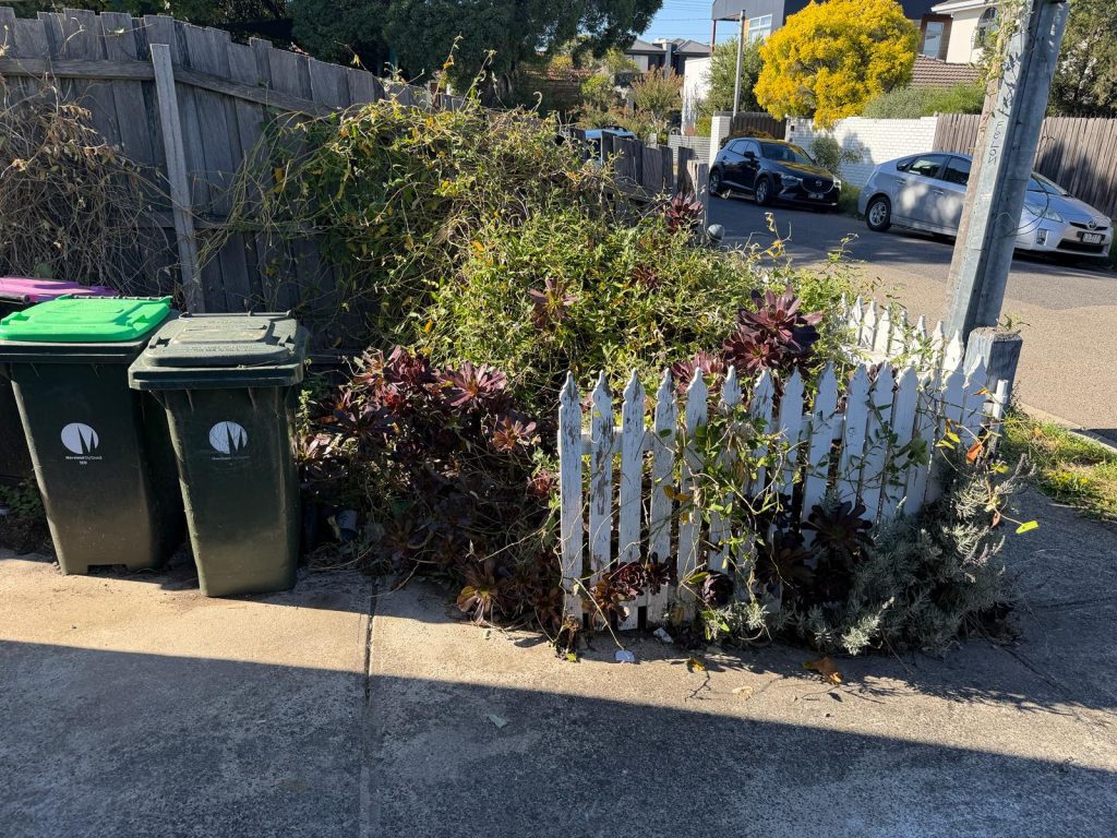 Backyard handyman work6