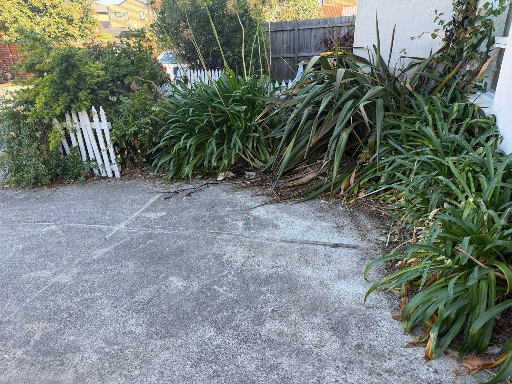 Backyard handyman work7